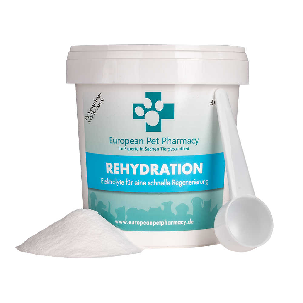 Rehydration 400g