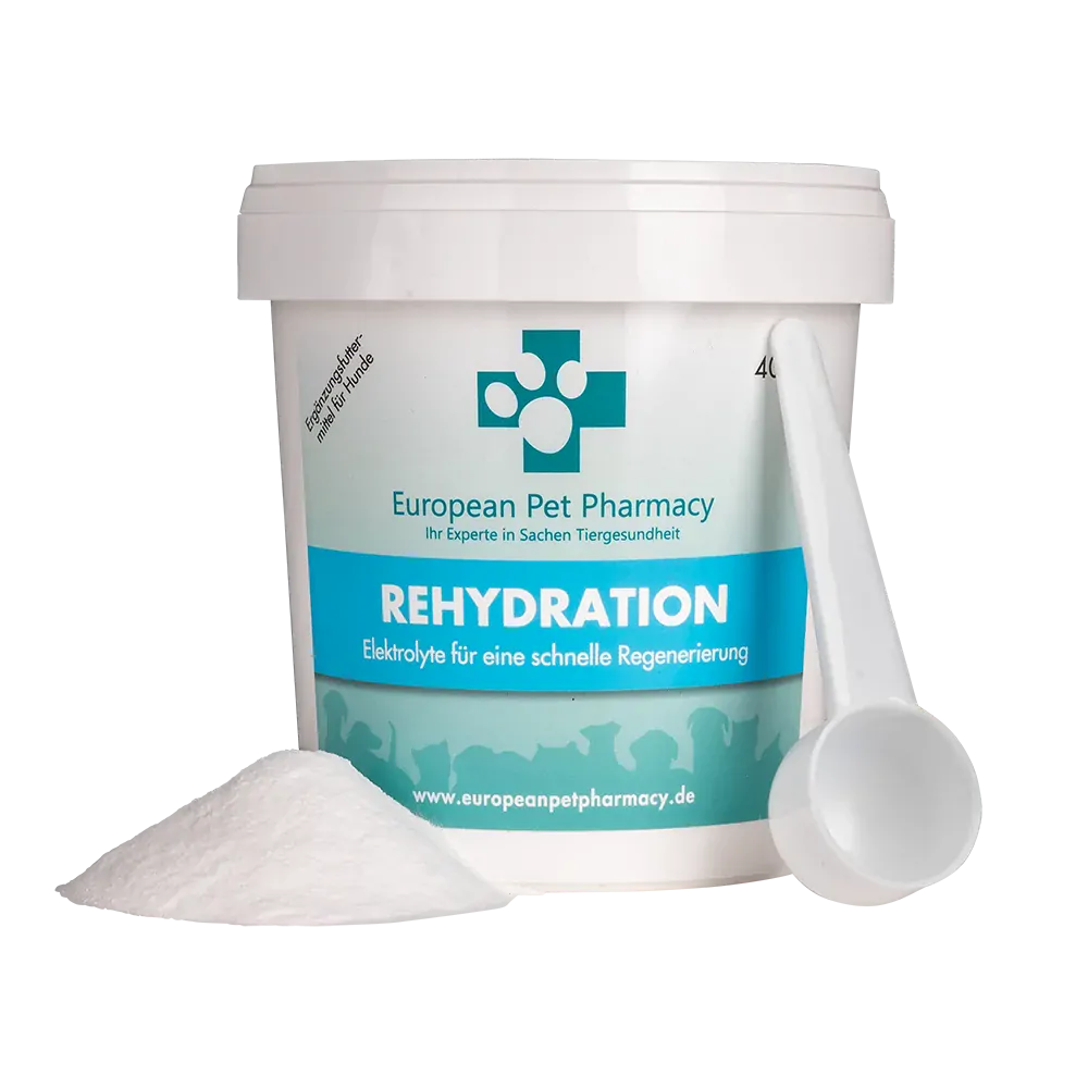 Rehydration 400g