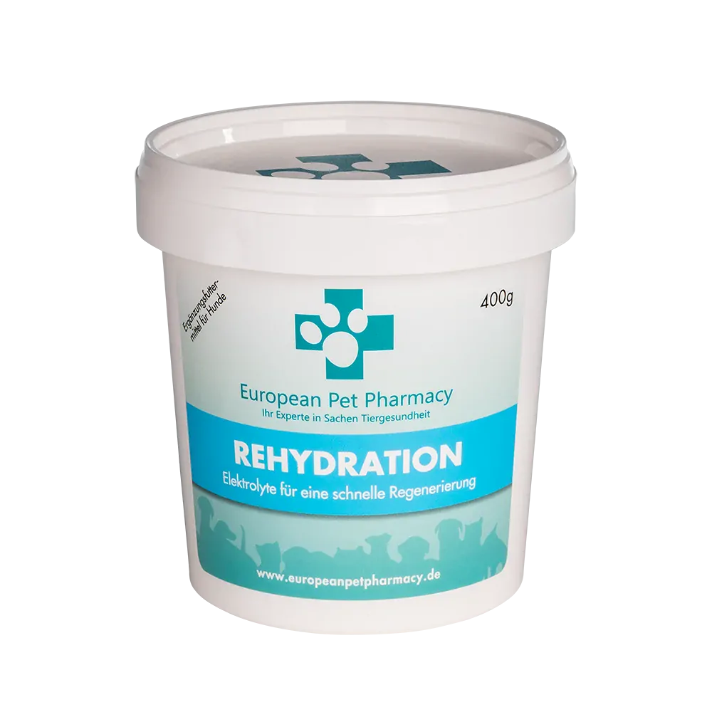 Rehydration 400g