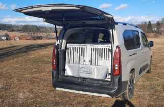 Citreon Berlingo 2022 XL