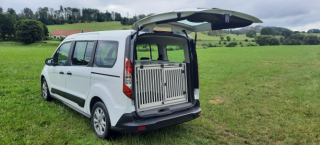 Ford Conect 2021